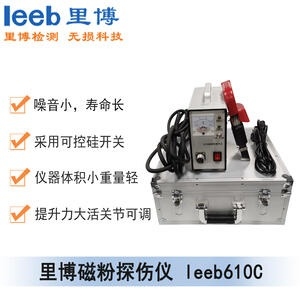 里博leeb610C 磁粉探伤仪